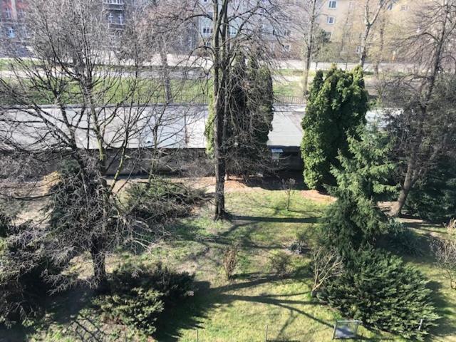 Apartament Gosia Nysa Eksteriør bilde
