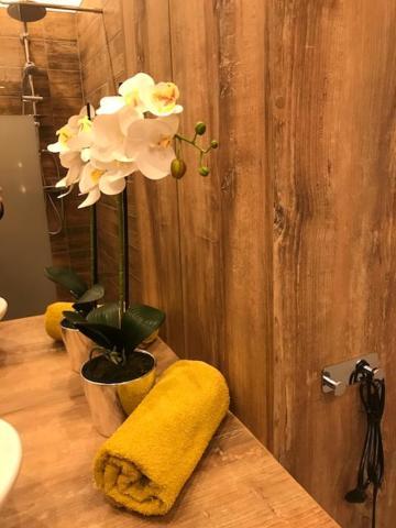 Apartament Gosia Nysa Eksteriør bilde