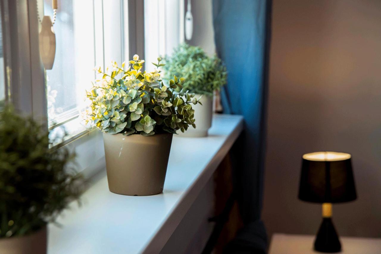 Apartament Gosia Nysa Eksteriør bilde